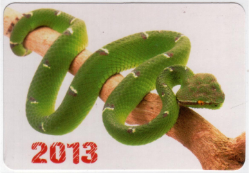 Календарик на 2013 год Год змеи 3