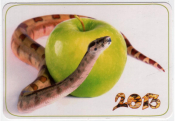 Календарик на 2013 год Год змеи 4