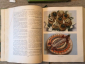 Две книги «Кулинария» 1955 и 1960 год. Рецепты СССР.  - вид 9