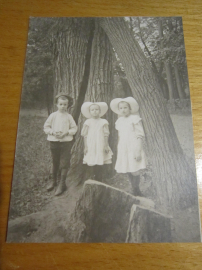 Открытое письмо."Мальчик и две девочки в панамах у дуба в лесу",фото до 1917 г.