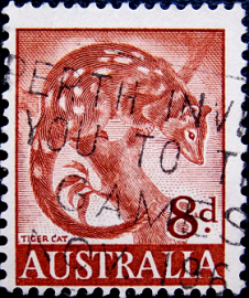Австралия 1960 год . Пятнистый Куолл (Dasyurus maculatus) . (4)