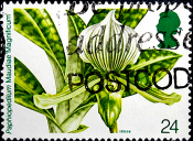 Великобритания 1993 год . Орхидея Paphiopedilum Maudiae 