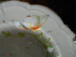 Старинная пирожковая тарелка МАКИ №2,фарфор, живопись, клеймо,ГАРДНЕР 1870-1880-е гг Россия - вид 3