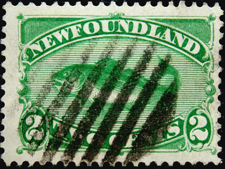 Ньюфаундленд 1896 год . Атлантическая Треска (Gadus morrhua) . Каталог 80 € . (1)