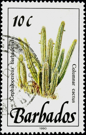 Барбадос 1990 год . Столбчатый кактус (Cephalocereus barbadensis) 10 с .