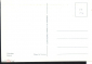 Открытка Вьетнам. Ханой Цветы, ОРХИДИЕИ ринхостилис Фото Le Vu'o'ng XUNHASABA чистая - вид 1