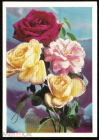 Открытка СССР 1971 г. Цветы, букет, розы. фото Г. Костенко ДМПК чистая