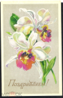 Открытка СССР 1976 г. Поздравляем. Цветы, орхидеи. фото. Н. Крипичева чистая