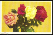 Открытка СССР 1972 г. Букет из роз, цветы. фото А. Аредова чистая