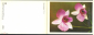 Открытка СССР 1977 г. Поздравляю! фото. Тяпченков и Яковлев. Цветы орхидеи. Двойная чистая - вид 1