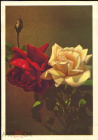 Открытка СССР 1959 г. Цветы, букет, розы. фото Л. Раскина ИЗОГИЗ чистая с маркой