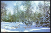 Открытка СССР 1974 г. С Новым Годом Зимний лес. фото В. Дацкевича подписана