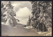 Открытка Болгария 1961-е Зимний пейзаж. Лес, снег, дорога. София чистая