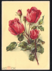 Открытка Германия 1950-е . Цветы, Розы. букет. редкая с маркой подписана