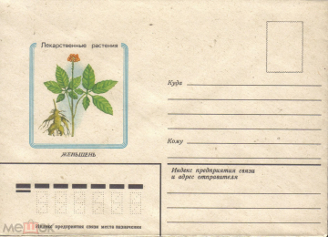ХНМК СССР 1982 г. ППФ Лекарственные растения Женьшень. Флора.