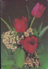 Открытка СССР 1990 г. Цветы, тюльпаны фото. Дергилева подписана