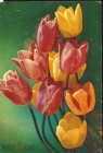 Открытка СССР 1984 г. Цветы, тюльпаны. фото. Г. Костенко подписана
