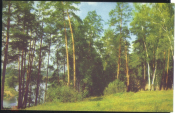 Открытка СССР 1968 г. Подмосковье, лес, река фото Кадышева, чистая