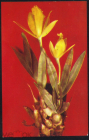 Открытка СССР 1981 г. Орхидея. Цветы Каттлея лимонно-желтая изд. Правда чистая