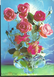 Открытка СССр 1981 г. Цветы Красные розы в вазе.фото Г. Костенко чистая