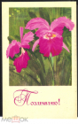Открытка СССР 1970 г. Поздравляю. Цветы. Орхидеи Фото В. Чмаров чистая