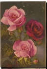 Открытка Роза. цветы, флора Dresden Fein Papier Erhard Bunkowsky редкая