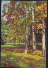 Открытка СССР 1965 г. Пейзаж. природа, лес, деревья. фото К. Кудрявцева чистая