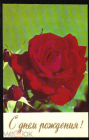 Открытка СССР 1974 г. С Днем рождения Роза, цветы фото. Н. Матанова подписана