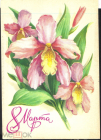 Открытка 1979 г. С 8 марта. Цветы. Орхидеи Фото Пикунова подписана