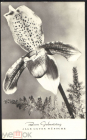 Открытка Германия 1950-е . Цветы, орхидеи букет. редкая прошла почту Германии