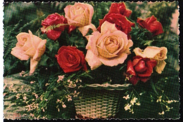 Открытка СССР 1962 г. Корзина с розами, цветы, флора. фото М. Шерстневой ИЗОГИЗ чистая худ. обрез