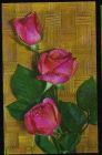 Открытка СССР 1970 г. Розы, цветы. фото Б. Круцко чистая
