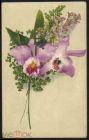 Открытка Германия 1950-е . Цветы, орхидеи букет. редкая подписана
