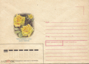 ХНМК СССР 1983 г. Чайно-гибридные розы Арлен Франсис, Флора, цветы