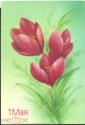 Открытка СССР 1988 г. 1 мая Тюльпаны, цветы, весна. Худ Н. Коробова. подписана