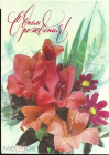 Открытка СССР 1977 г. Гладиолус, цветы, флора фото И. Дергилева ДМПК подписана