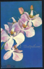 Открытка 1981 г. Цветы. Орхидеи Фото Веселухина чистая