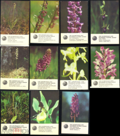 Карманные календарики Латвия 1981-1984 г. Охраняемое растение ЛАТВССР 11 штук в лоте