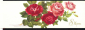 Открытка СССР 1988 г. С 8 Марта! Розы, цветы. худ. Т. Варламова двойная, чистая - вид 1