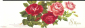 Открытка СССР 1988 г. С 8 Марта! Розы, цветы. худ. Т. Варламова двойная, чистая - вид 3