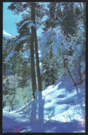 Открытка СССР 1974 г. С Новым Годом. Пейзаж. природа, лес, зима. фото И. Гридина подписана