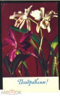 Открытка СССР 1969 г. Поздравляю. Цветы, орхидеи. фото. Г. Мазура чистая