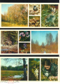 Набор открыток СССР 1979 г. Центрально - лесной заповедник не полный 11 шт чистые - вид 4