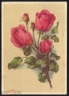 Открытка Германия 1950-е . Цветы, Розы. букет. редкая с маркой экслибрис чистая