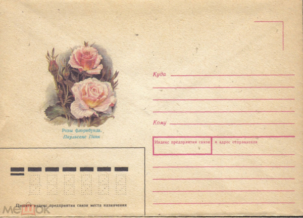 ХНМК СССР 1983 г. Розы флорибунда Паульсенс Пинк Флора, цветы