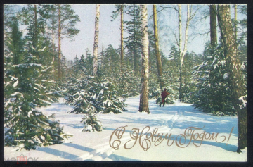 Открытка СССР 1975 г. С Новым Годом! Природа, лес, зима, лыжник. фото. Г. Костенко чистая