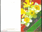 Открытка СССР 1988 г. Поздравляем. Цветы. Нарциссы. худ. Зеленова двойная подписана - вид 1