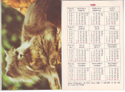 Календарик СССР Кошки фото О.Котович 1989