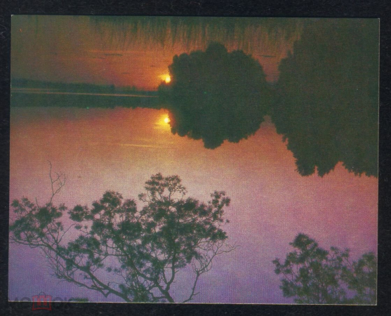 Открытка СССР 1985 г. Пейзаж, закат, озеро. фото.Т. Кругликовой МИНИ чистая