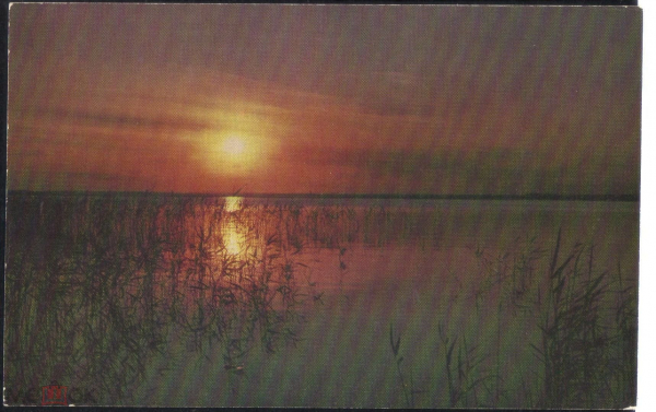 Открытка СССР 1969 г. Озеро разлив. фото И. Наровлянского из Аврора чистая